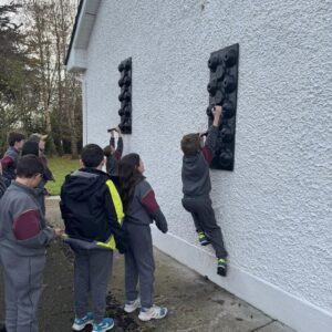 Peg Boards